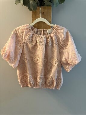Delicate Embroidered Puff-Sleeve Top - Blush Pink